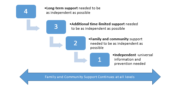 Flow diagram of family support