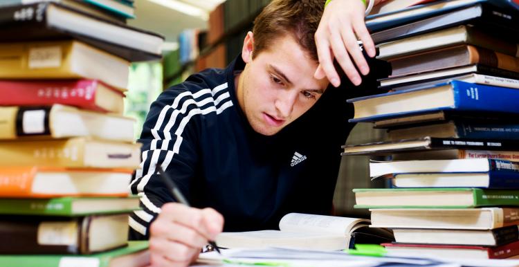 mental health survey