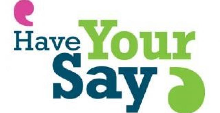Have your say campaign logo