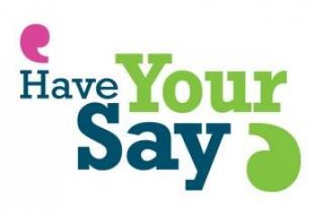 Have your say campaign logo