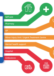 Graphic of a phone, with different branches coming off it naming various health care services, such as GPs, Minor Injury Units, and hospitals